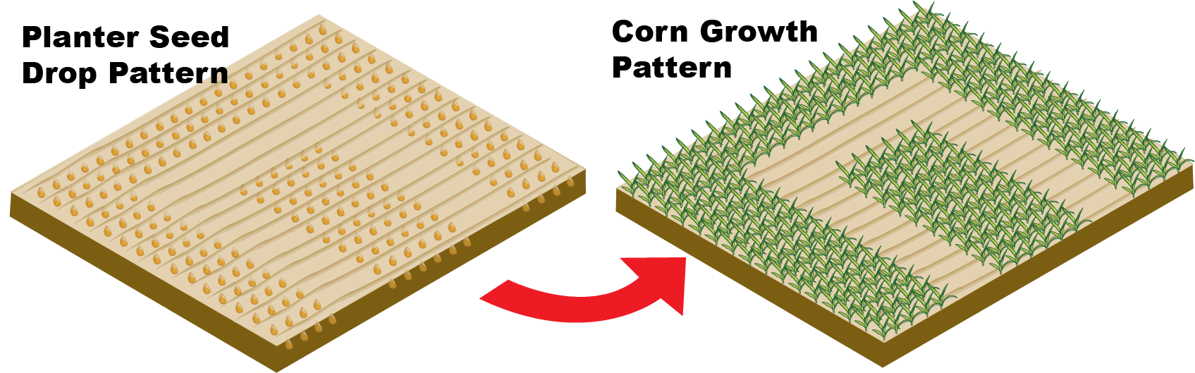 Corn maze gps planting